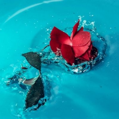 Anika (Student), 2018